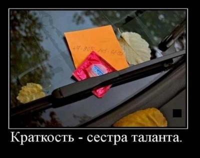 x_73e749e1.jpg