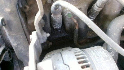 2012-05-31-010.jpg
