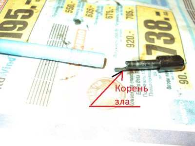 DSC02497_.jpg