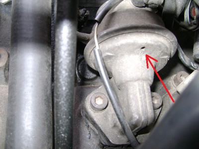 DSC00009_.jpg