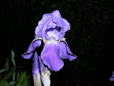 P6184773_изменение размера.JPG