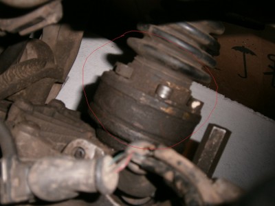 PC310624.JPG