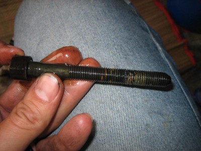 bolt_v_guano_small.jpg