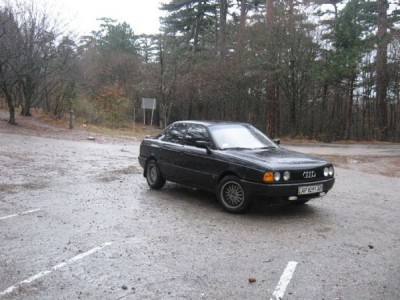 x_00779323.jpg